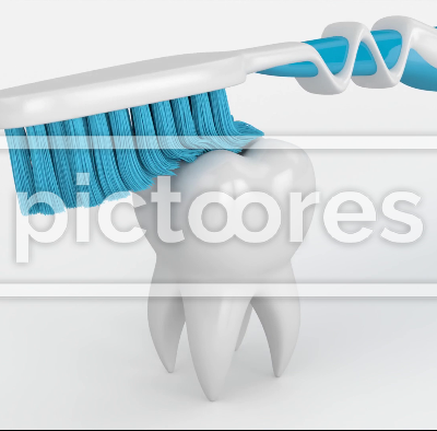 Toothbrush brushing and cleaning tooth