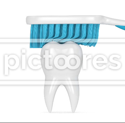Toothbrush brushing and cleaning tooth