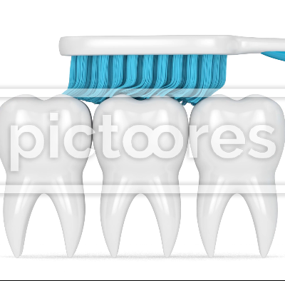 Toothbrush brushing and cleaning teeth