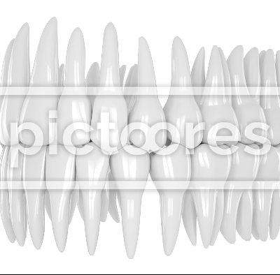 Human toothing rotation over white background